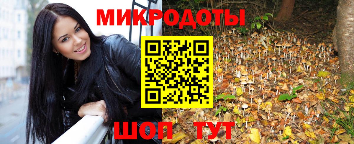 Псилоцибиновые грибы Magic Shrooms  где продают   Азов  Вход с VPN 