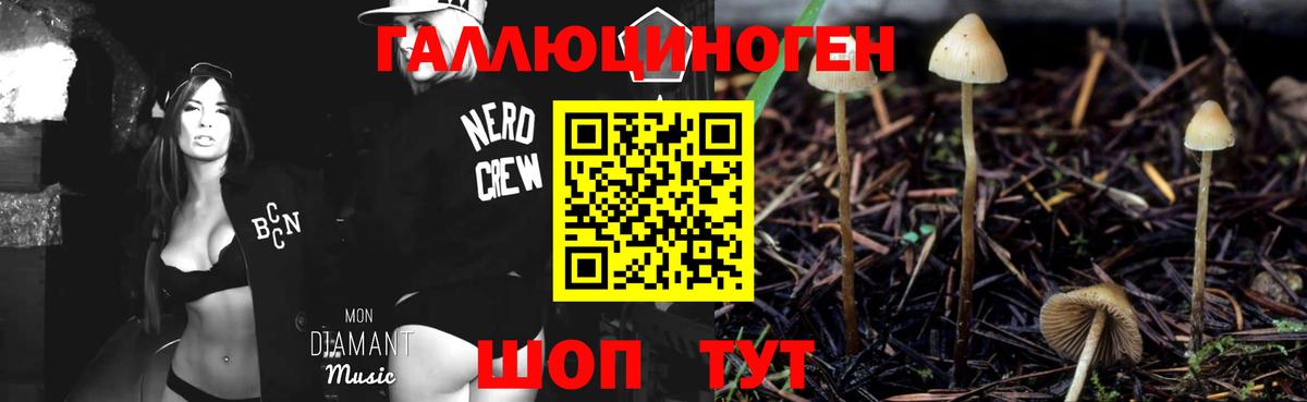 Псилоцибиновые грибы MAGIC MUSHROOMS Азов